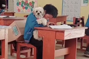 ひとりぼっちになってしまう愛犬を思いやる少年の願いを叶えた学校の教師