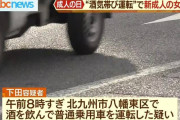 【二十歳最速】基準値５倍超の飲酒運転で新成人の女を逮捕ｗｗｗｗｗｗｗｗｗ