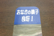ワイの家の表札にこれ貼った糞ガキこい （※画像あり）