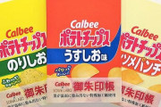 【！？】「ポテトチップス」と「じゃがりこ」デザインの御朱印帳が10月20日より発売！