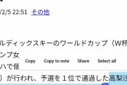 【悲報】高梨沙羅さん、去年のW杯でも反則で失格になっていた…