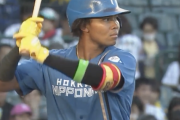 日本ハム水谷瞬、巧打者タイプだった