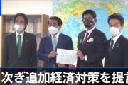【謎悲報】政府「インフレにしたい…」ワイ「お金配れば？」政府「国民が貧しくなってる…」ワイ「お金配れば？」