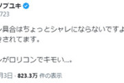 パさん「日本人のロリコン具合はシャレにならない。海外でドン引きされている」