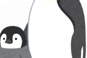 ペンギンの可愛さに気づいてしまった