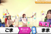 【動画】某人気アイドルグループが番組内でヤバイ発言をしてしまう、これええんか？