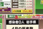【閲覧注意】コロナ０の岩手県、超過死亡が他と比べて多い件・・・・