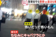 客引き「バニーどうっすか？」警察A 「んー、ちょっと怖いなぁ…行きますか？」警察B「行きますか！」→客引き逮捕へWWWWWWW