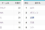 プロ野球、ホームラン30本に届きそうなのが山川穂高しかいない…