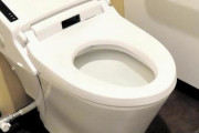 職場にめちゃくちゃトイレの近い人がいる。トイレの中で被るのが嫌なので、その人が行ったのを見計らって行ってもまた途中で入ってくる…