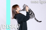 【元日向坂46】井口眞緒、DISH//『猫』の歌ってみた動画を公開wwww