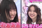 限界オタクすぎる的野美青まとめ【櫻坂46】【そこ曲がったら櫻坂】