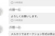 【悲報】メルカリでポケモン買ったらトラブった！誰か助けてくれ！
