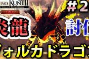 【二ノ国Ⅱ レヴァナントキングダム（switch版）】＃20 ヴォルカドラゴンを倒して「ツノ」を入手せよ！メルドラおばさんの頼み事その2！ストーリー実況（初見プレイ）