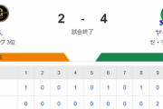 【試合結果】ヤクルト4-2巨人　吉村8回途中無失点で5勝目！山田哲人５号ソロ！