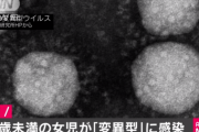 【悲報】東京都の女児が英国型変異種ウイルスに感染