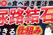 【悲報】医者「腎臓結石やねぇ。2つあるわ。とりあえず薬で様子見ましょか」ワイ「…」