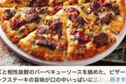 アメリカ人「日本のピザ 小さいのにLサイズ5000円高すぎ」