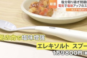 【驚愕】『塩味が強調されるスプーン』、1万9800円で発売