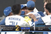 日ハム谷内、延長11回にサヨナラタイムリー！！！！！