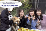 ファイターズガールが狐に会いに行く動画