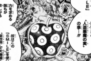 【疑問】ワンピースの悪魔の実の存在が周知されてない設定ｗｗｗｗｗ