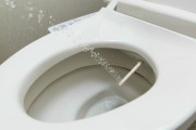 ヒカキン「トイレでウォシュレットする派？しない派？」→100万人以上の答えがまさかの結果に・・・・