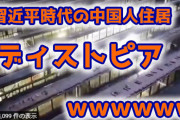 【悲報】習近平時代の中国人住居が完全にディストピアｗ （動画あり）