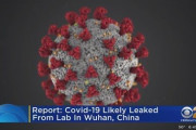 【やっぱりな】米当局「新型コロナは中国の研究所から流出」