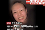 内田梨瑚（りこ）容疑者、SNSで“当たり屋”を繰り返していた  [5/30]