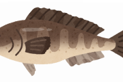 ほっけとかいう一番美味い魚ｗｗｗｗｗ
