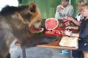 典型的なロシアの夕食