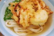 【悲報】うどんの天ぷら、かき揚げがなぜか1位