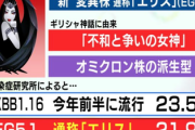 【緊急】東京都、コロナ派生型『エリス』降臨でもうメチャクチャ…