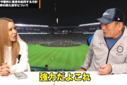 高木豊氏　阪神の新助っ人ビーズリーに「いや強力だよ、これ」「ビジョンが描けるのは素敵」