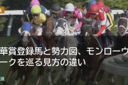 秋華賞登録馬と勢力図、モンローウォークを巡る見方の違い
