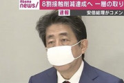 【は？】安倍首相「国民の皆さん、ゴールデンウィークは『オンライン帰省』をお願いします」