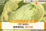 【ヒィ…】中田翔が1ヶ月で17キロ落としたダイエット法「先にレタス1玉キャベツ1玉きゅうり3本食べる」