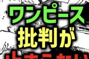 【悲報】ワンピース批判動画、超人気コンテンツへWWWXWWWWWXWWWXWWWWWXWWWWWXW