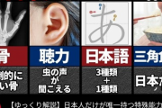 【画像】”日本人の特殊能力”、ガチで凄すぎて全世界が嫉妬してまうｗｗｗ