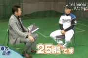 斎藤佑樹(2014)「25勝します！」←これって当時どんな感じだったの？