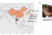 中国メディア「最新研究で新たな手掛かり…タイ東部のコウモリから新型コロナ関連ウイルス」