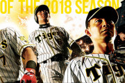 2018年の阪神打線はこちら
