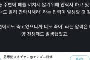 韓国人「日本が安楽〇に反対する理由に一同共感の嵐！！」「韓国では導入すべきではありません！」