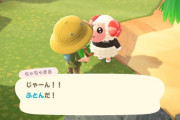 ワイよりまだあつ森楽しんでるやつおる？（※画像あり）