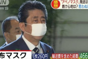 【悲報】アベノマスク、収束してから届きそう