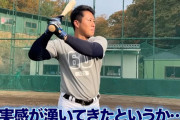 【動画】これは即戦力…西武ドラ２渡部聖弥