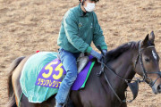 【天皇賞・秋】グランアレグリア異例の２日前追い 藤沢和師「速いな。あれぐらい出ちゃうんだよ」