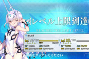 【FGO】HPたっか！金フォウLv120水着メリュジーヌのステータス
