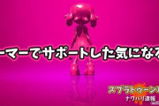 【スプラトゥーン2】「おいこっちはサポートしてやってんだ」感出してくるわかば使いマジでなんなの？！